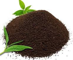 Tea Powder