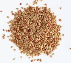 Horse Gram -500(Kulthi / Madras Gram)