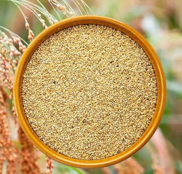 Proso Millet Whole Grains