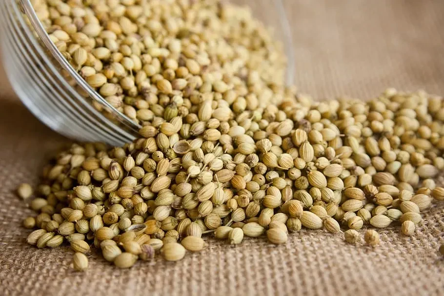 Coriander seed