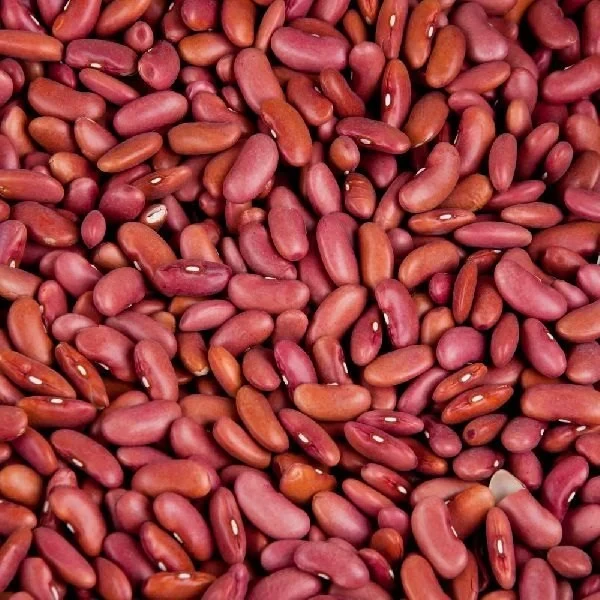 Rajma Red Kidney Beans