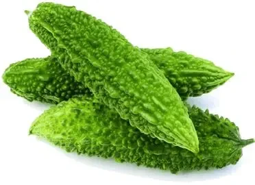 Bitter Gourd