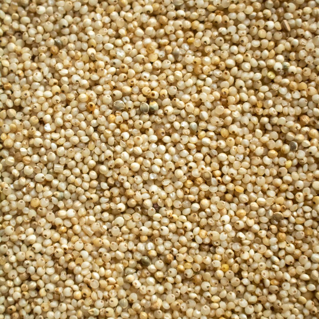 Barnyard Millet whole Grains