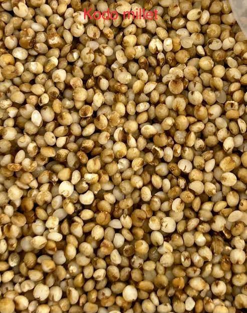 kodo millet whole grain