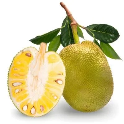 Jurassic Fruit Jackfruit ripe Phet Delivered Fresh